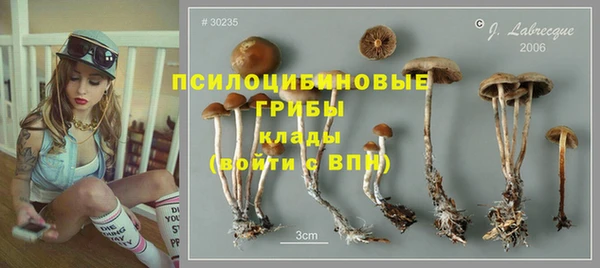 твердый Алзамай