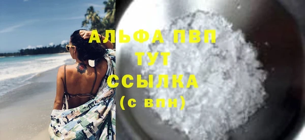 прущие грибы Покачи