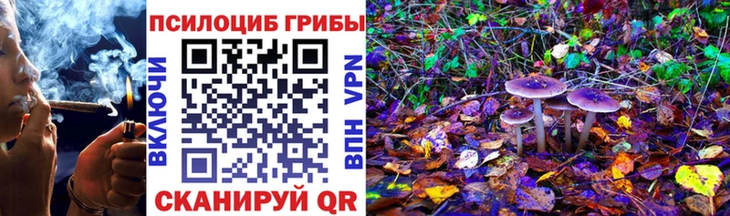 ОМГ ОМГ вход  Нижний Ломов  Галлюциногенные грибы мухоморы 